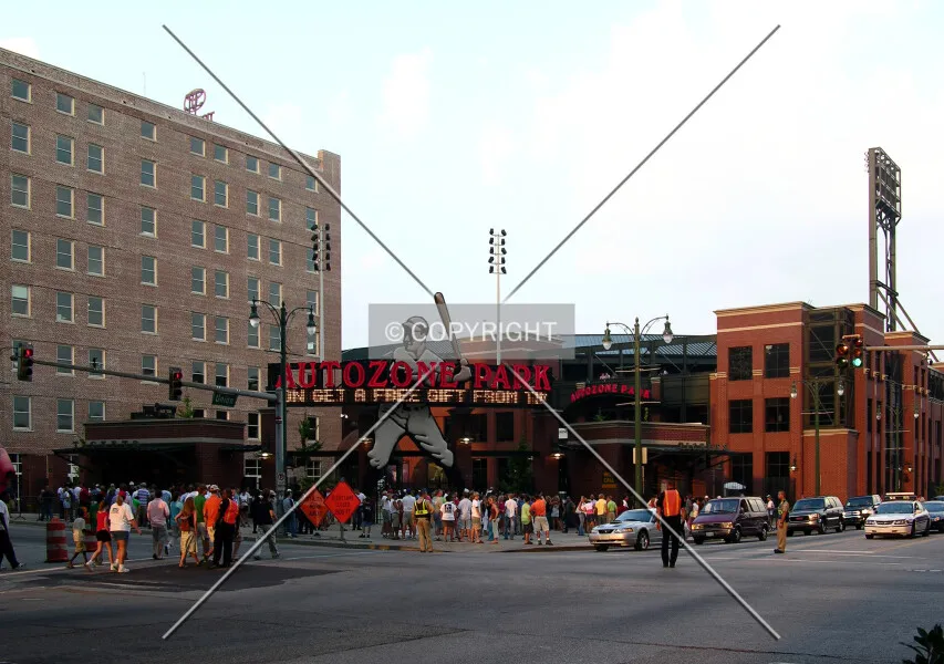 Photo 244-281-184
