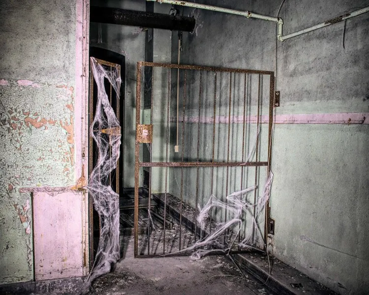 Photo 244-467-283