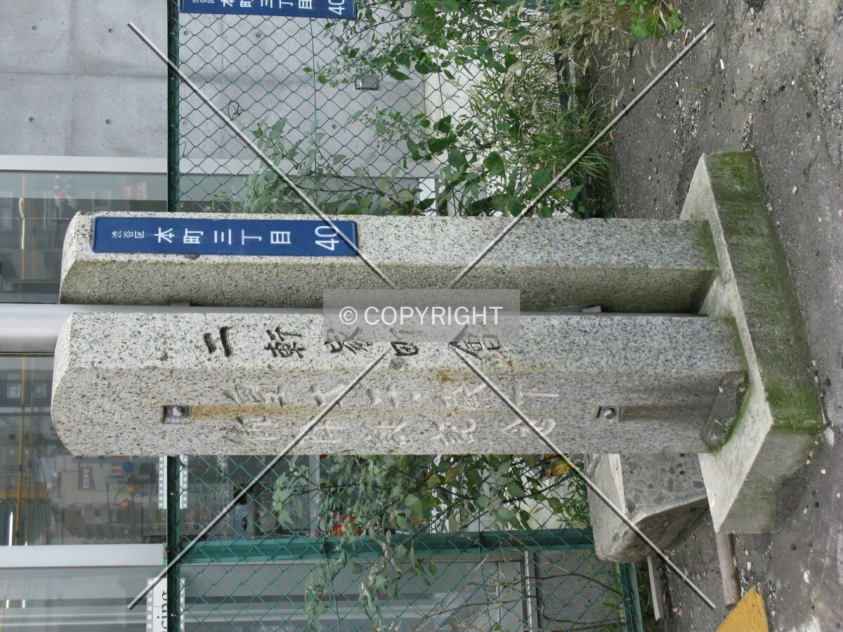 Photo 244-509-436
