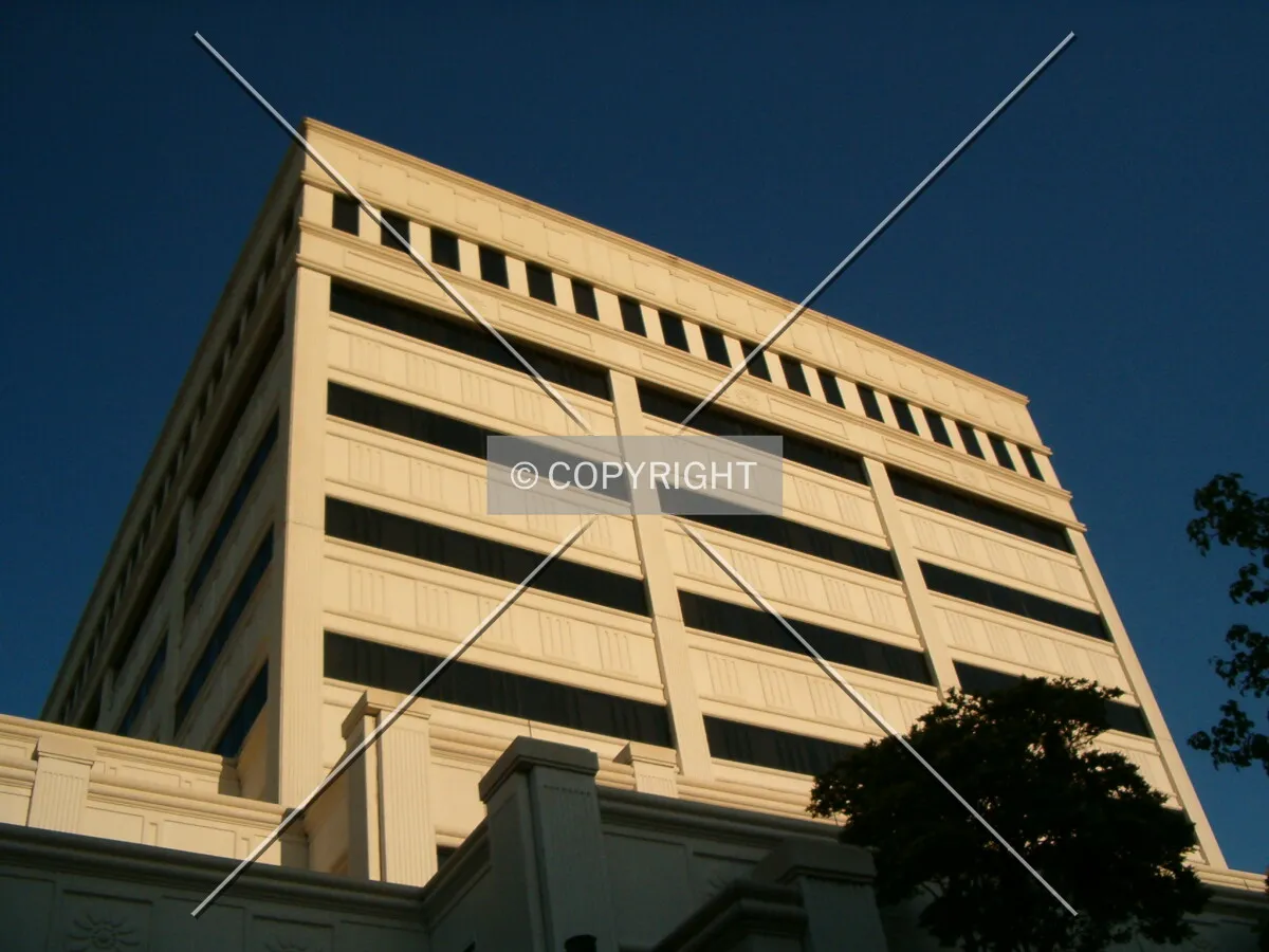 View from South Adam Street