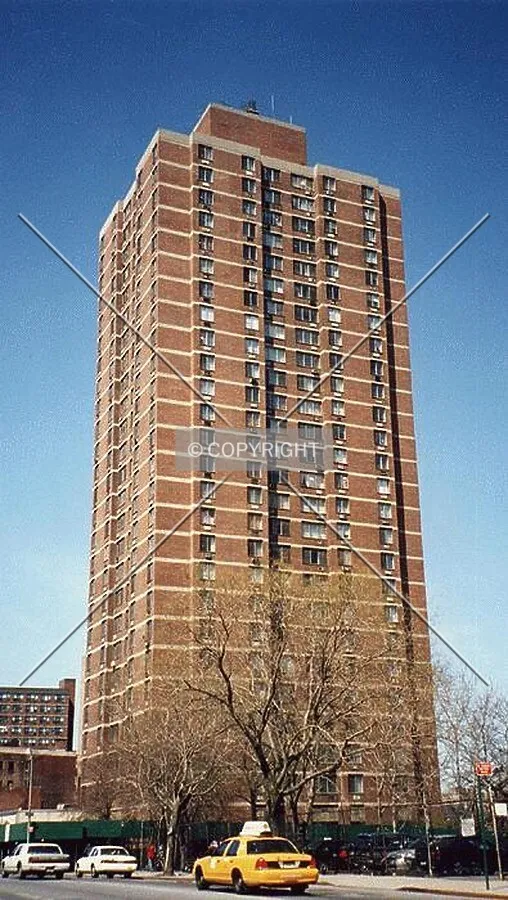 View from the east