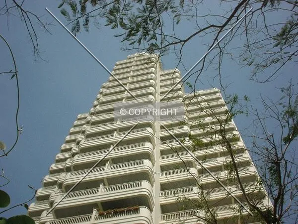 View to the top