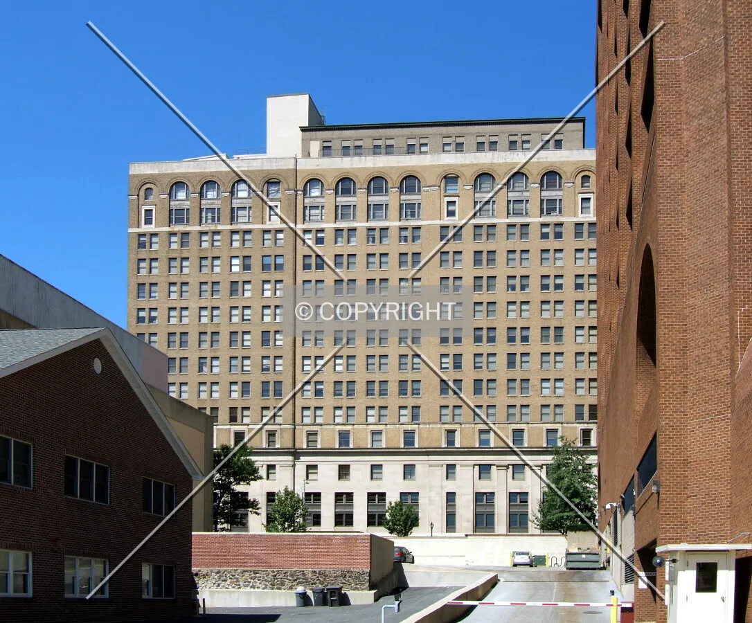 View from the southeast