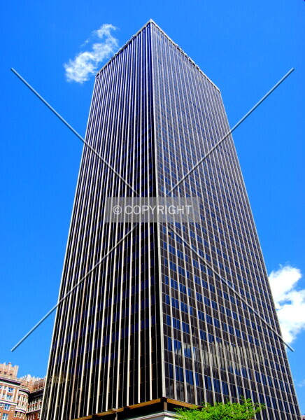 Photo 245-195-447