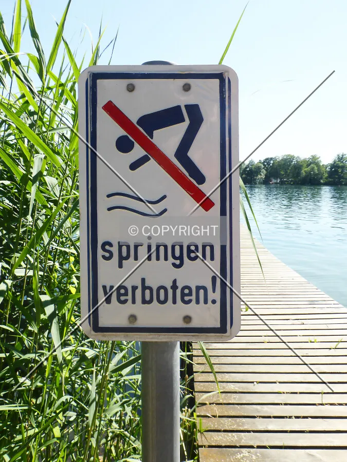 Photo 245-235-673