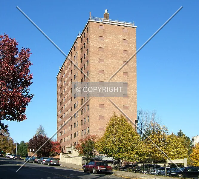 Photo 245-391-471