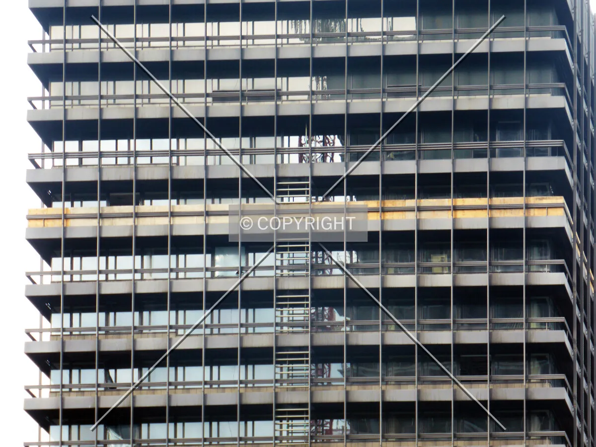 Photo 245-519-320