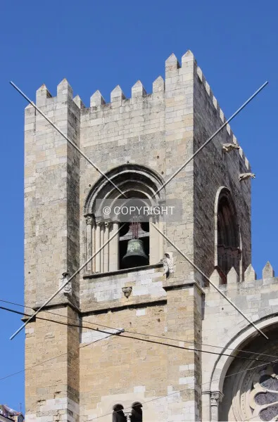 Photo 245-552-033