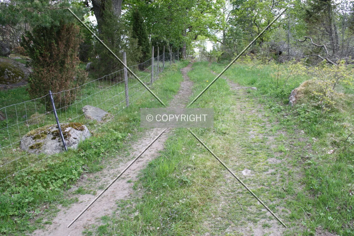 A natural road