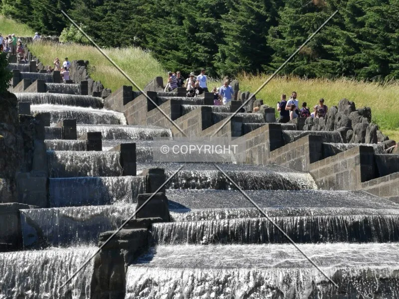 Photo 245-998-604