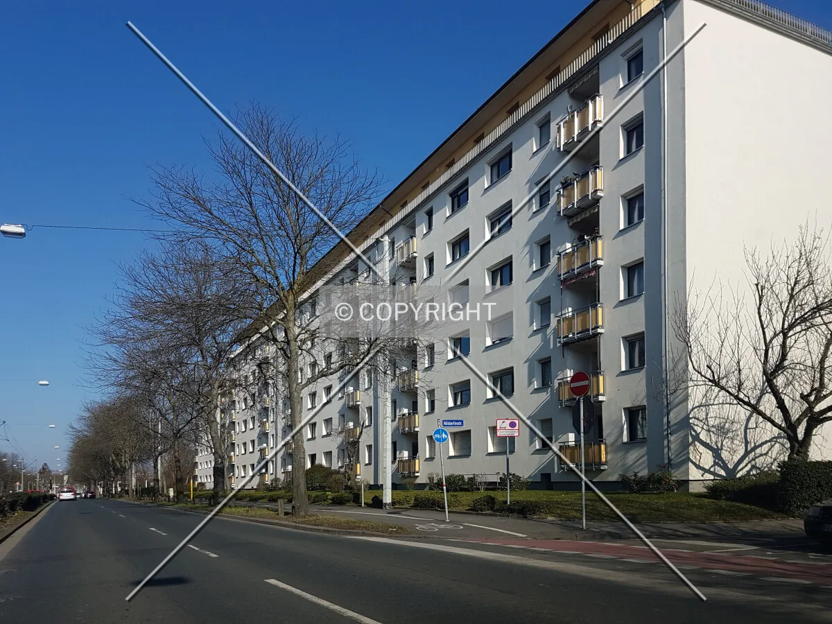 Photo 246-175-322