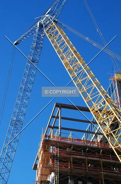 Photo 246-271-089