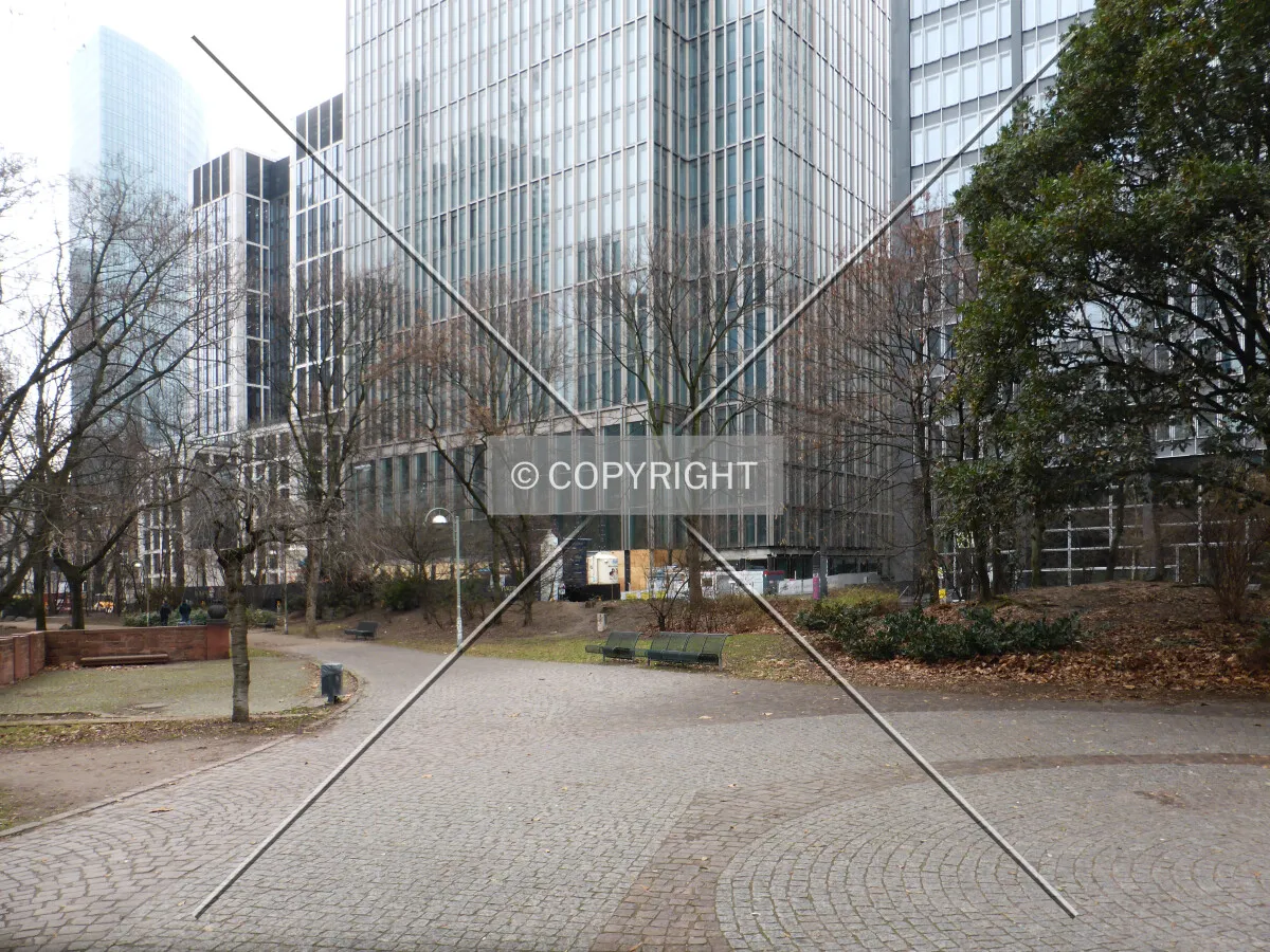 Photo 246-298-985