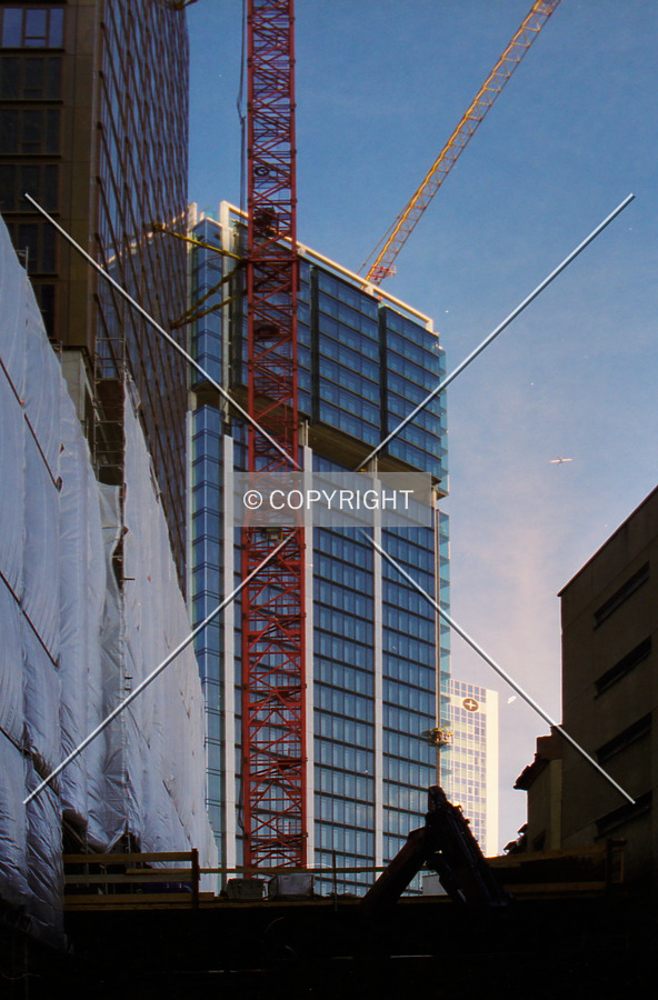 Photo 246-423-415