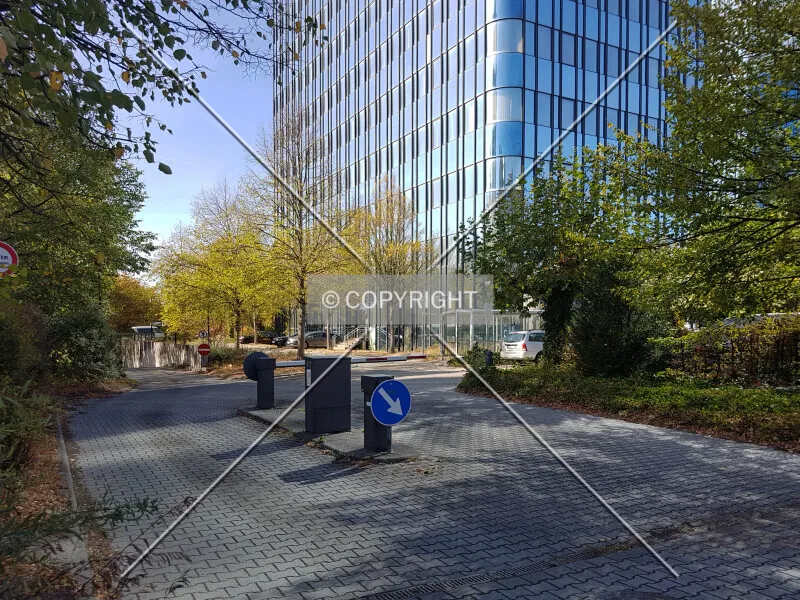 Photo 246-432-935