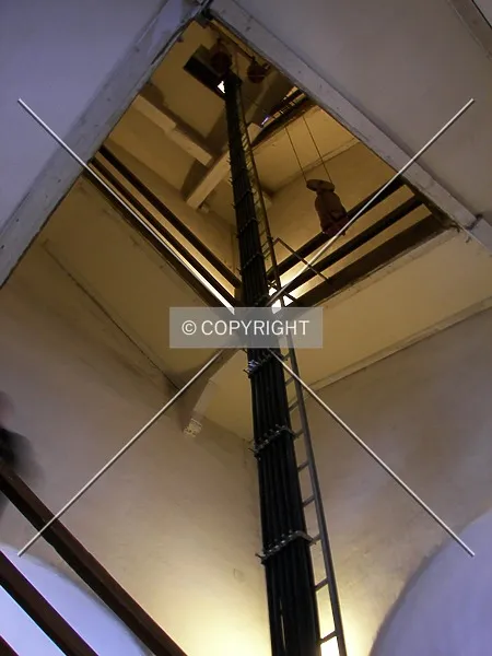 Photo 246-455-478