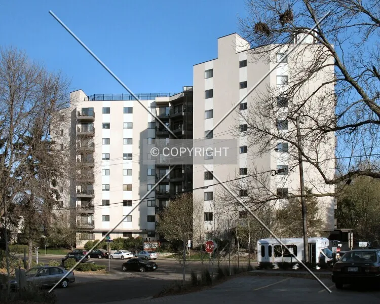 Photo 246-484-478