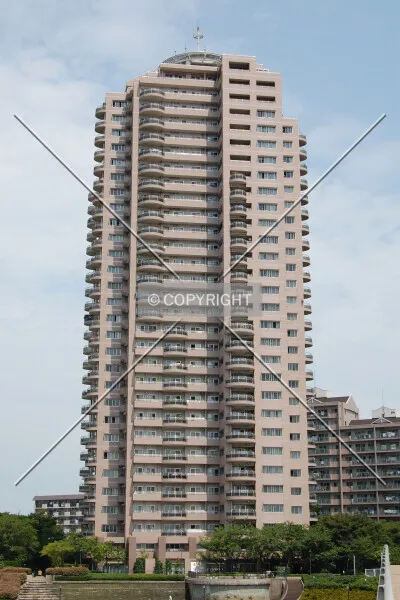 Photo 246-737-736