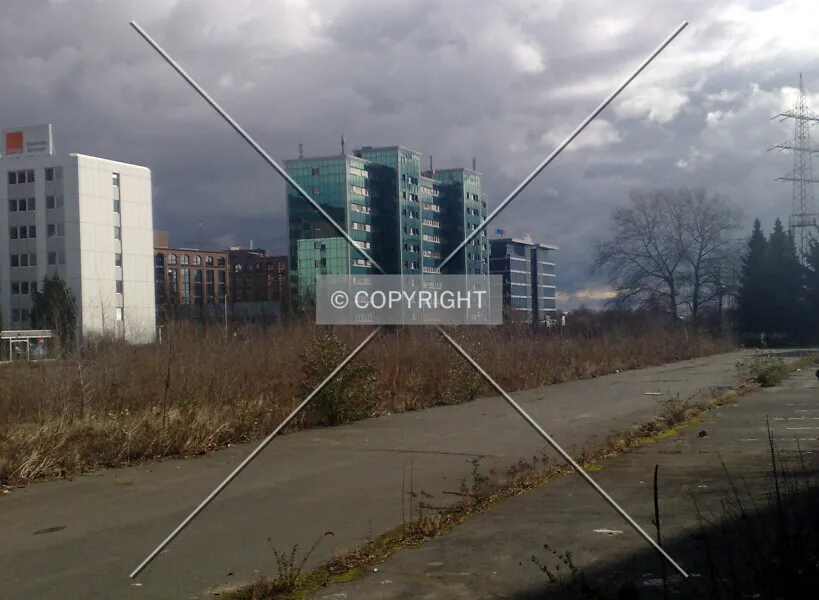 Photo 246-754-439