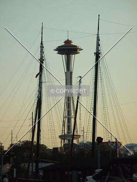 Photo 246-986-890