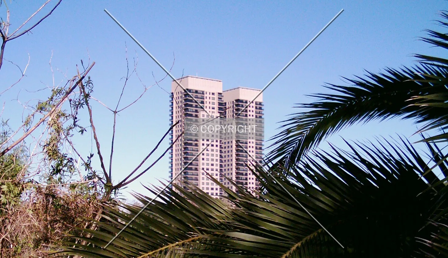 View from the ecological reserve