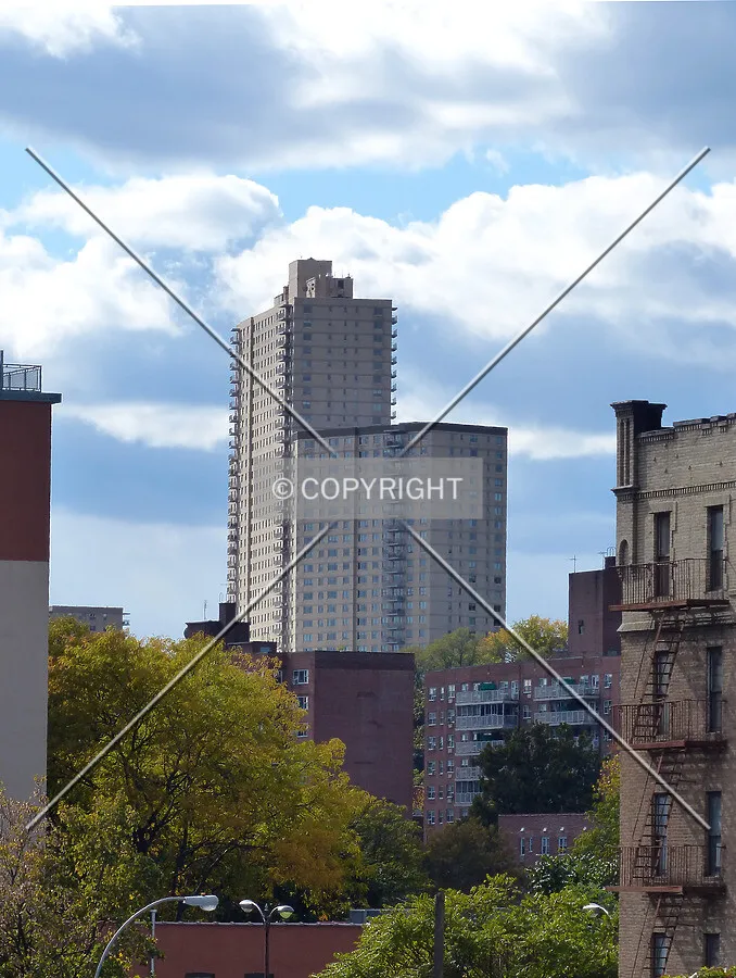 Photo 248-146-728