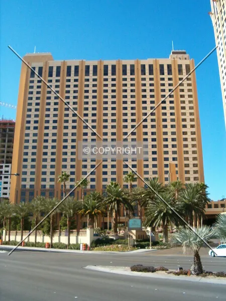 Photo 248-710-534