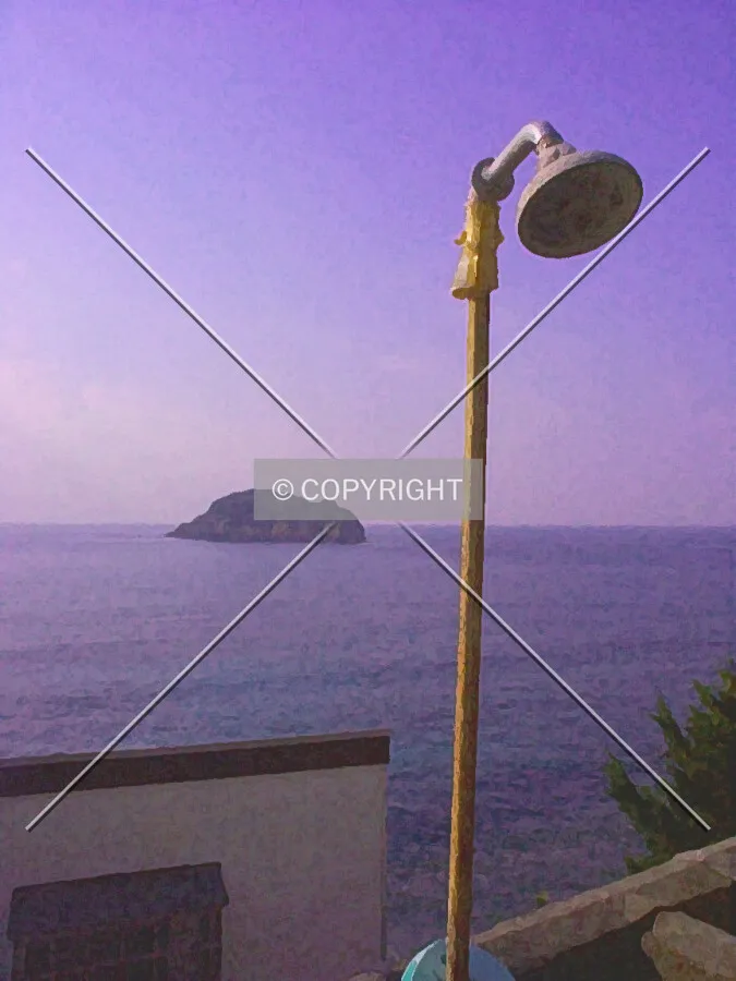 Photo 248-739-837