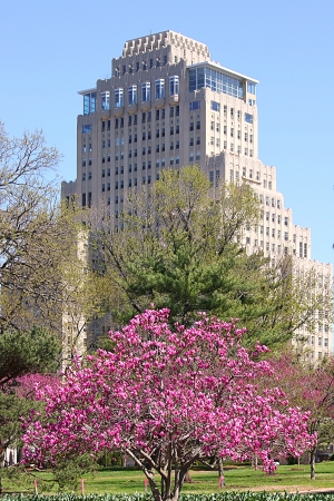 View from Forest Park to the southwest; April 3, 2010