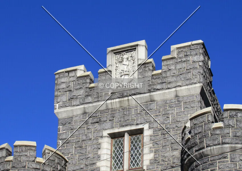 Photo 249-224-475