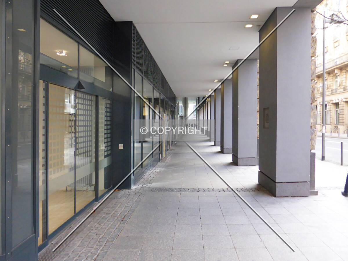 Photo 249-261-743