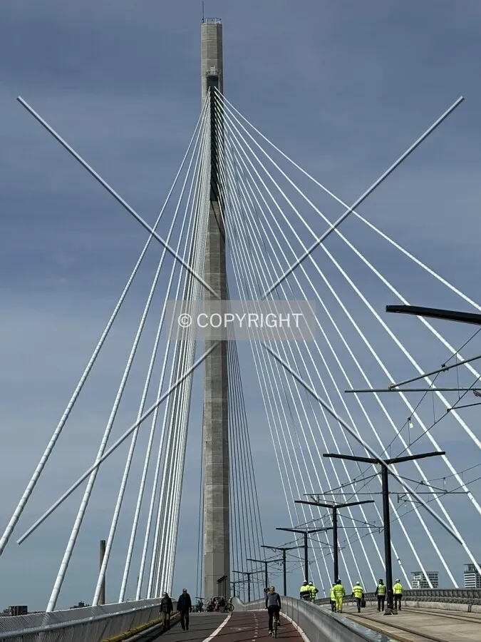 Photo 249-408-943