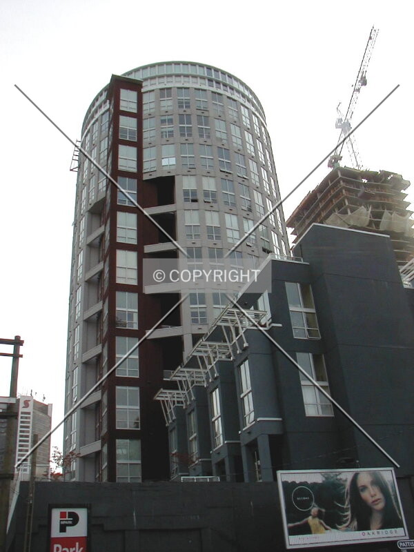 The Spot from Nelson Street