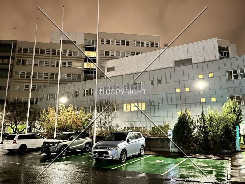 Photo 249-835-215