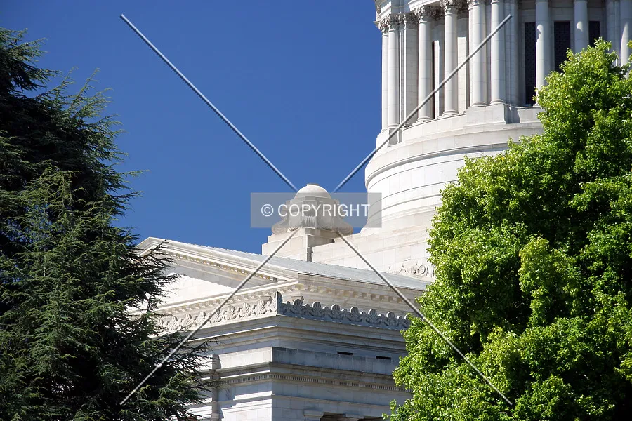 Photo 250-141-281