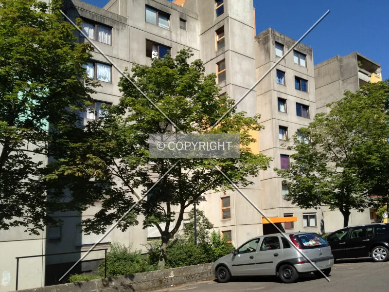 Photo 250-150-832