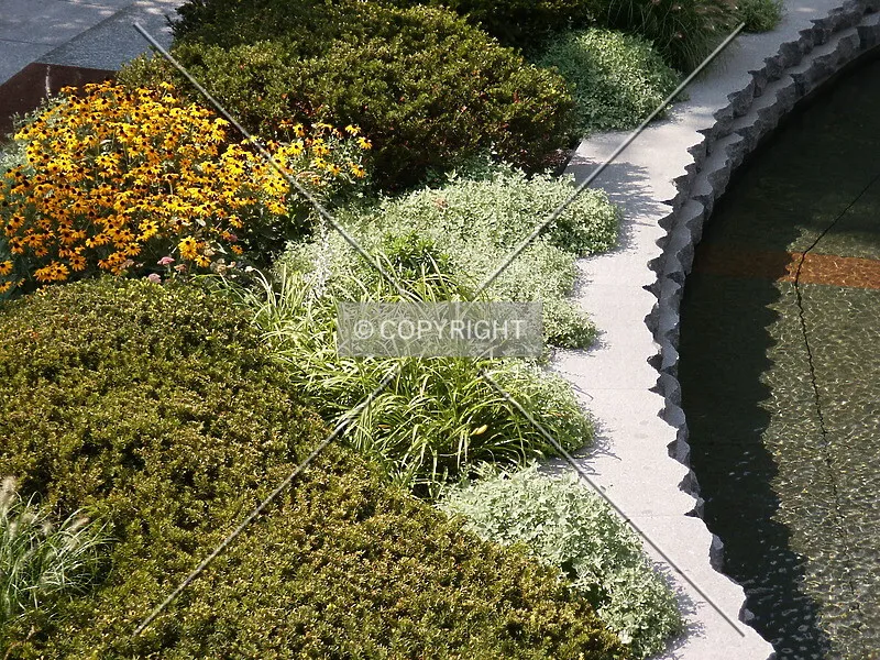 Photo 250-303-704
