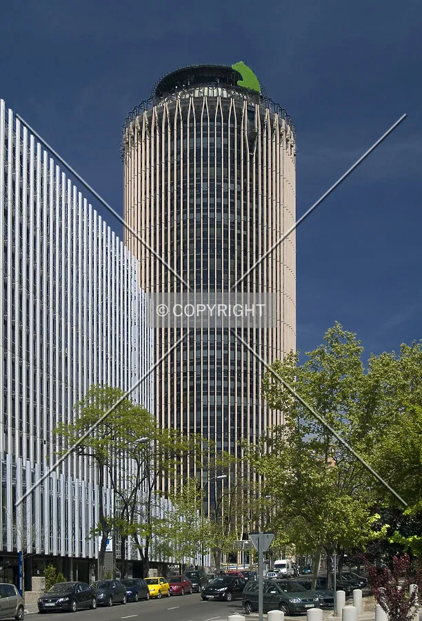 View from the south
