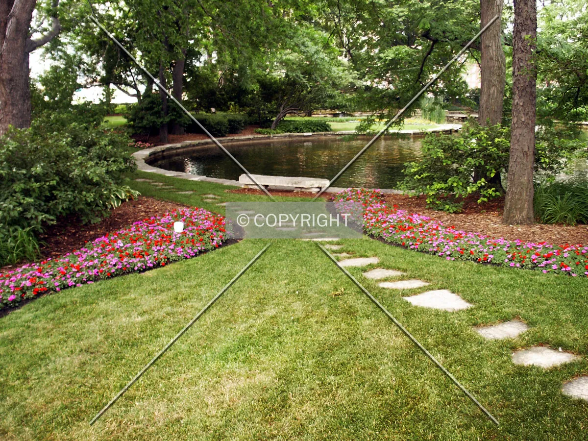 Looking into the garden from the east