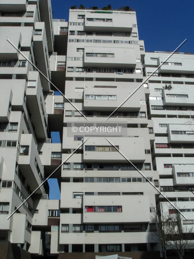 Photo 250-721-616