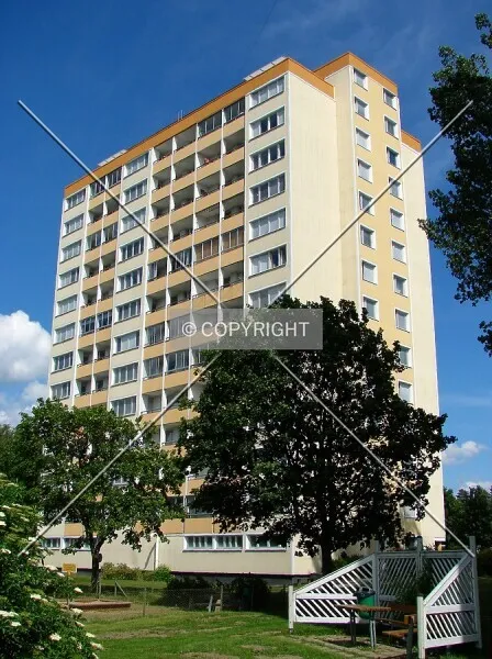 Photo 250-782-295