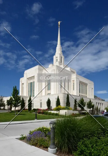 Photo 251-037-344
