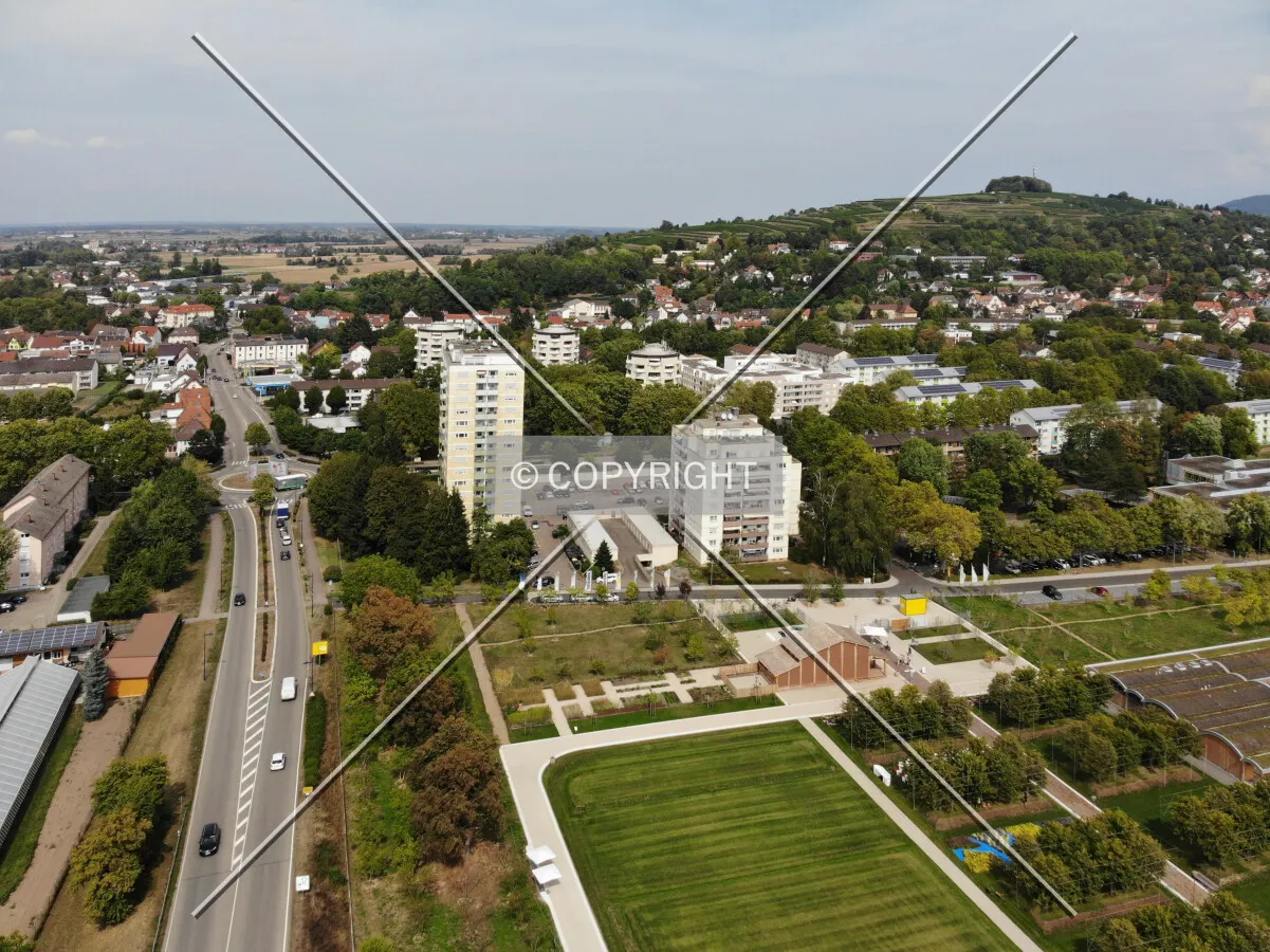 Photo 251-144-766