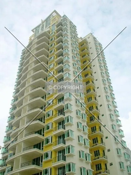 Photo 251-204-986