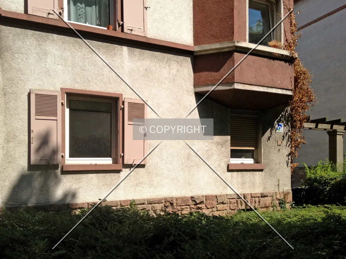 Photo 251-301-494