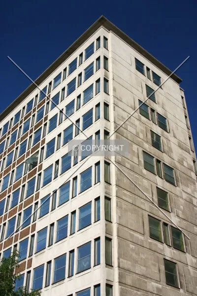 Photo 251-505-648