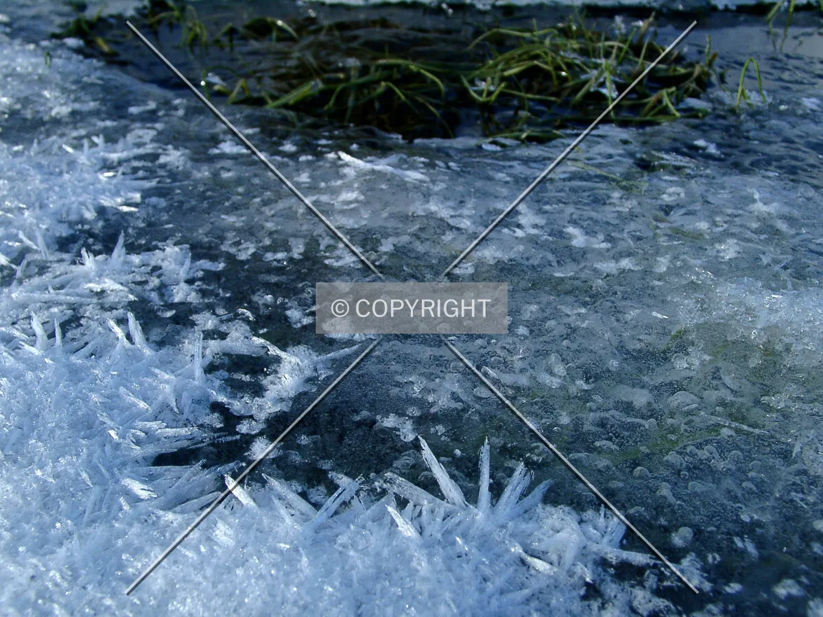 frost patterns