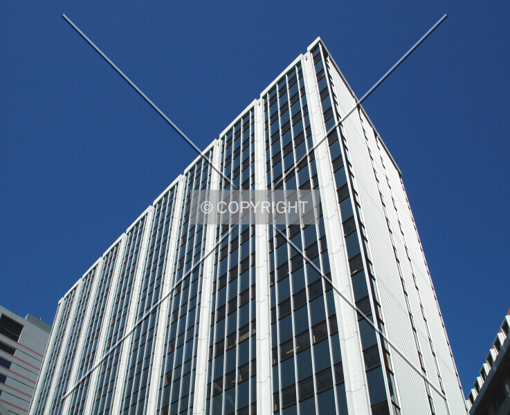 Photo 251-566-212