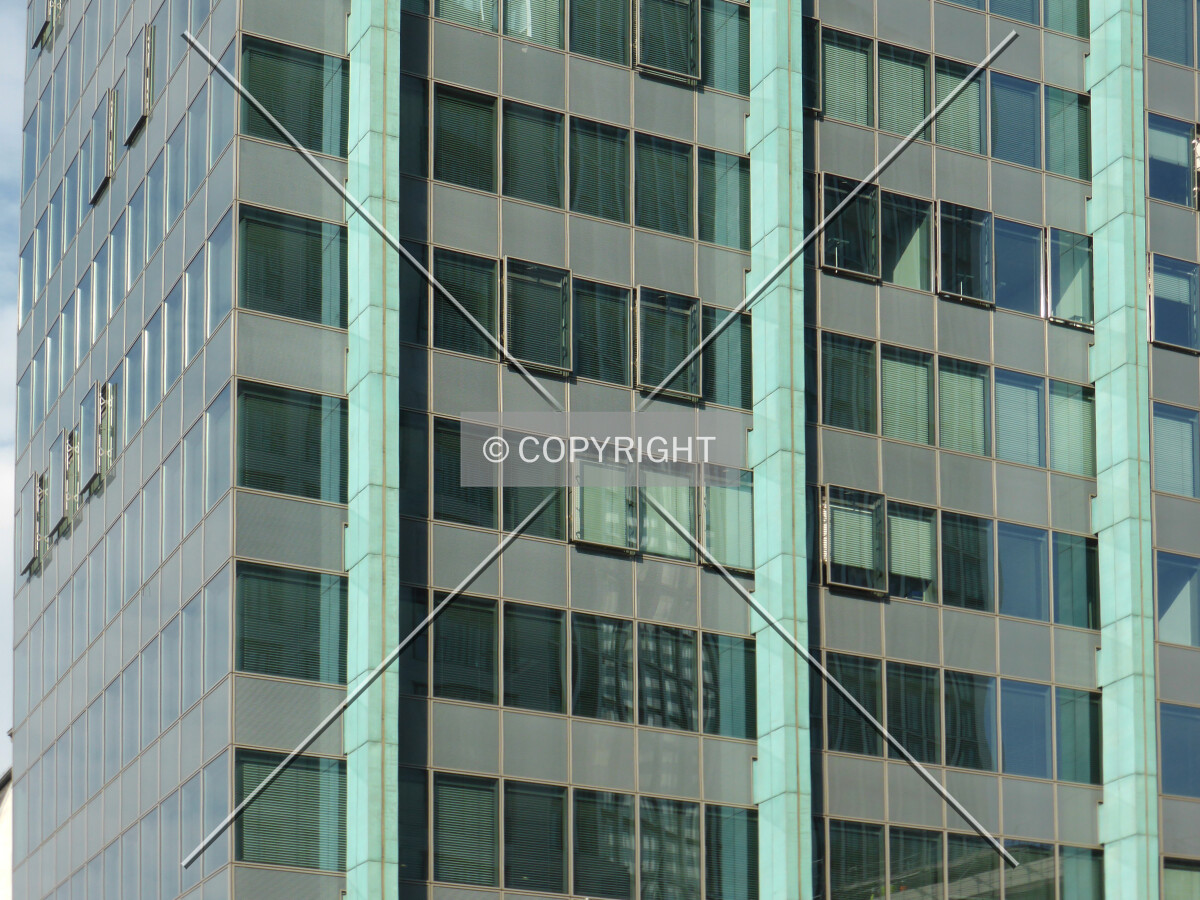 Photo 251-599-028