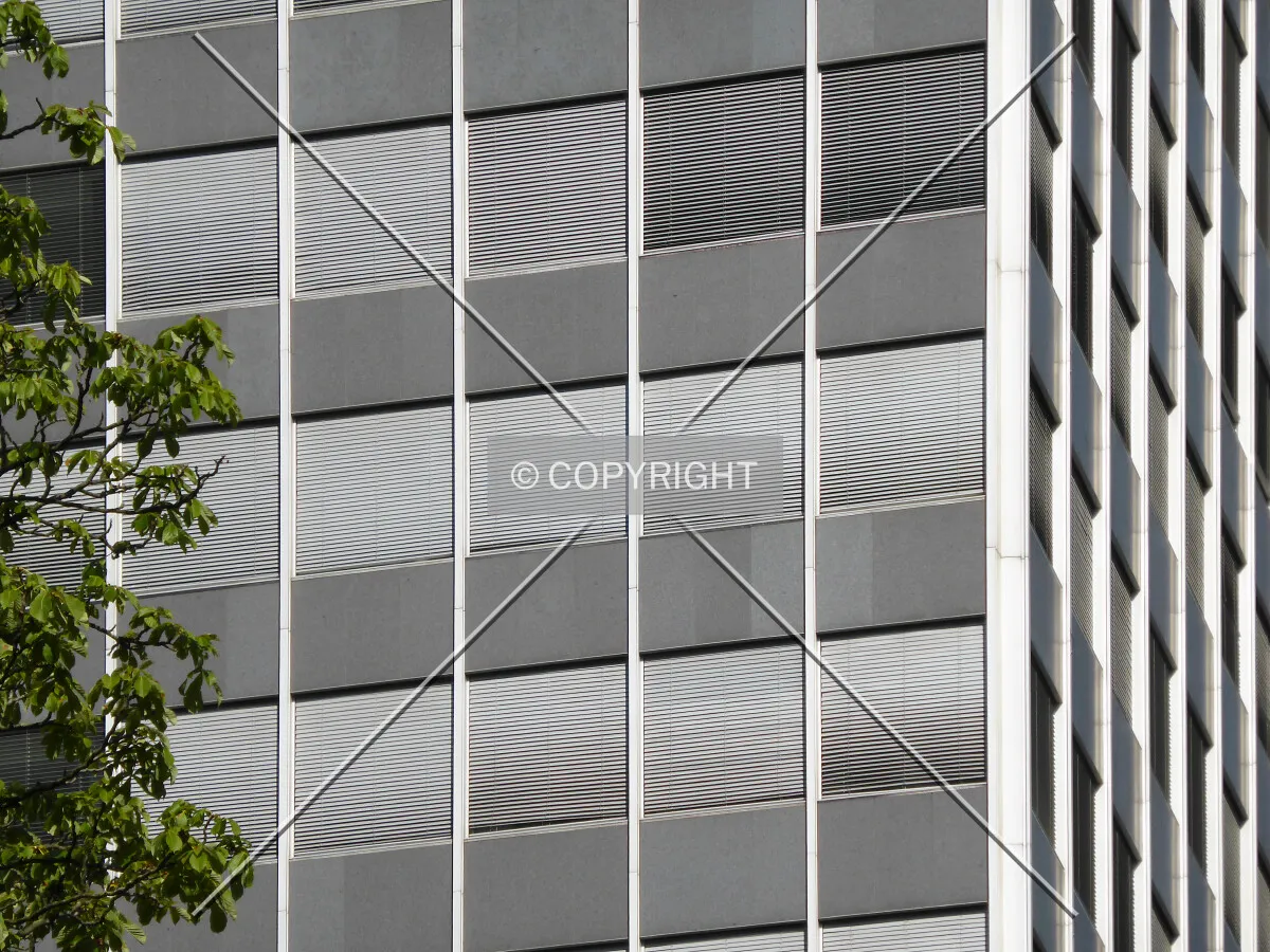 Photo 251-708-968